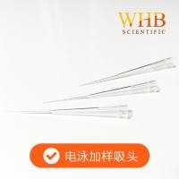 WHB 卧宏 200ul电泳加样吸头   袋装/盒装   多规格 厂家直供