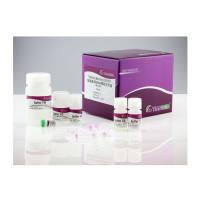 天根DP302细菌基因组 DNA 提取试剂盒，50次