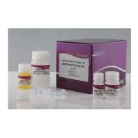 天根DP214通用型 DNA 纯化回收试剂盒，200次