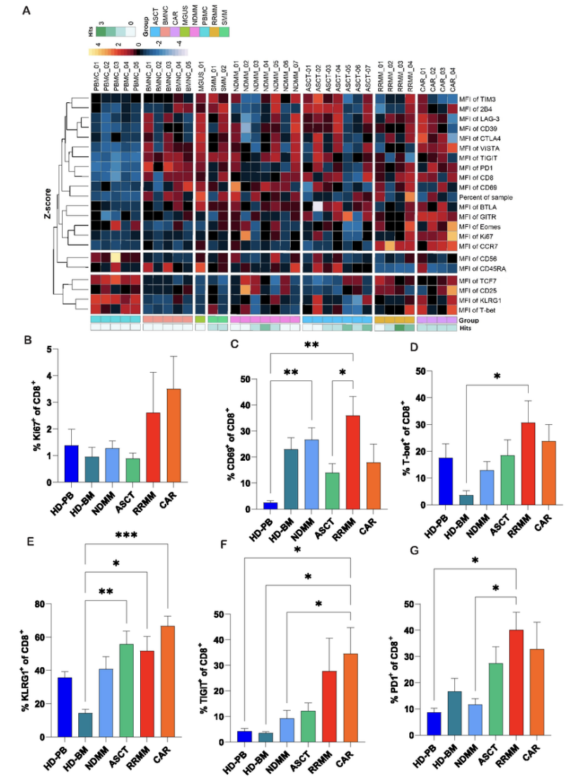 BCMA靶向CAR-T治疗RRMM失败，深度T细胞表型分析或可揭示原因