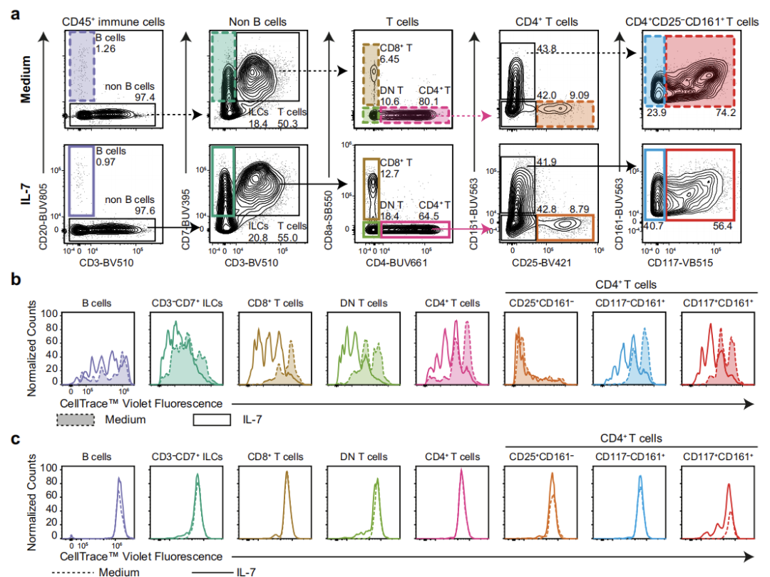 Nature子刊 | 25色全光谱流式方案绘制妊娠中期胎儿肠道免疫系统发育图谱