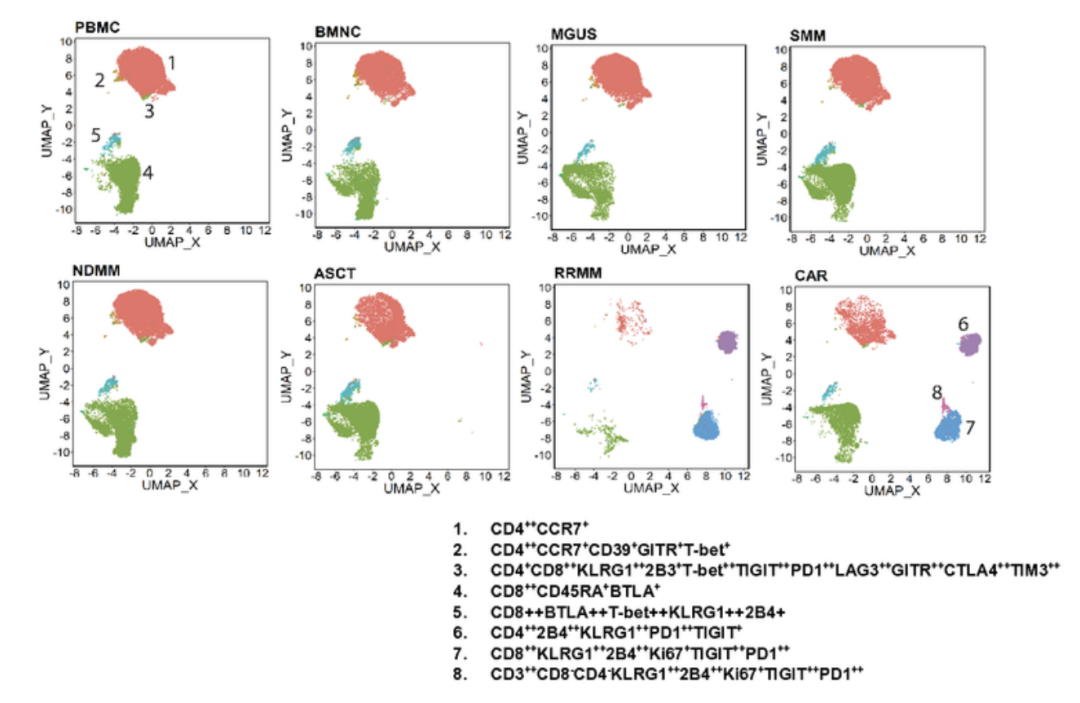 BCMA靶向CAR-T治疗RRMM失败，深度T细胞表型分析或可揭示原因