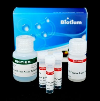 艾美捷海肾荧光素酶测定试剂盒2.0,150次测定方案