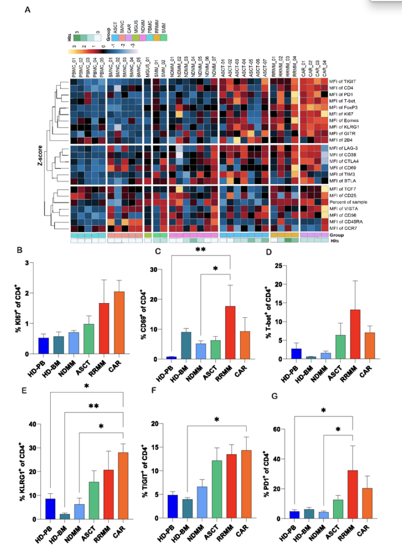 BCMA靶向CAR-T治疗RRMM失败，深度T细胞表型分析或可揭示原因