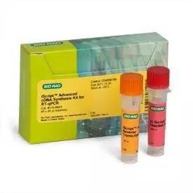 伯乐Bio-Rad 1725038 iScript™ Advanced cDNA Synthesis Kit，合成试剂盒，100 x 20 µl