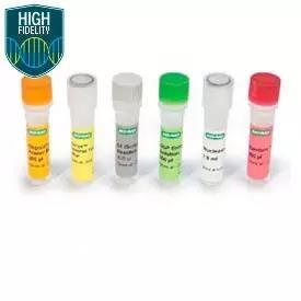 伯乐Bio-Rad 1708897 iScript™ Select cDNA Synthesis Kit，合成试剂盒，100 x 20 µl