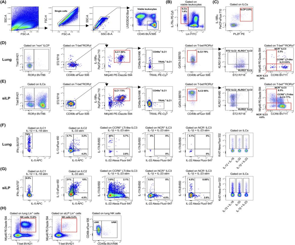 Big Panel Theory系列之—22色小鼠固有淋巴细胞（ILC）高维分析方案