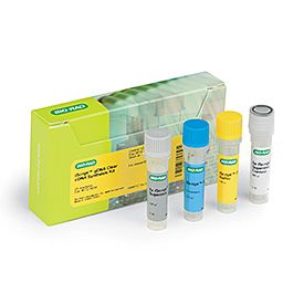 伯乐Bio-Rad 1725035 iScript™ gDNA Clear cDNA Synthesis Kit，合成试剂盒，100 x 20 µl
