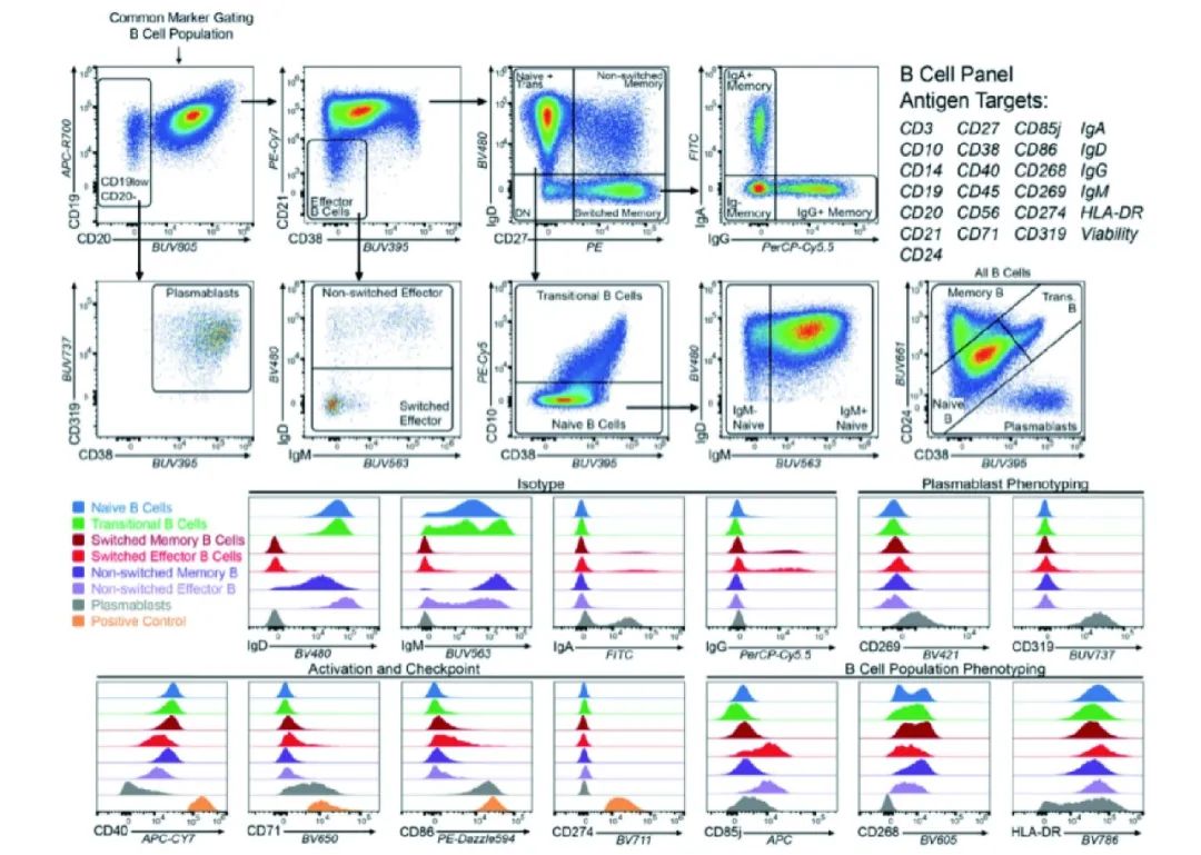 Cytek® Aurora平台全面兼容传统流式方案，支持Panel“拿来主义”