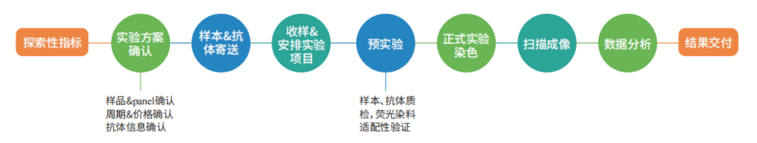 Absin多重荧光免疫组化服务