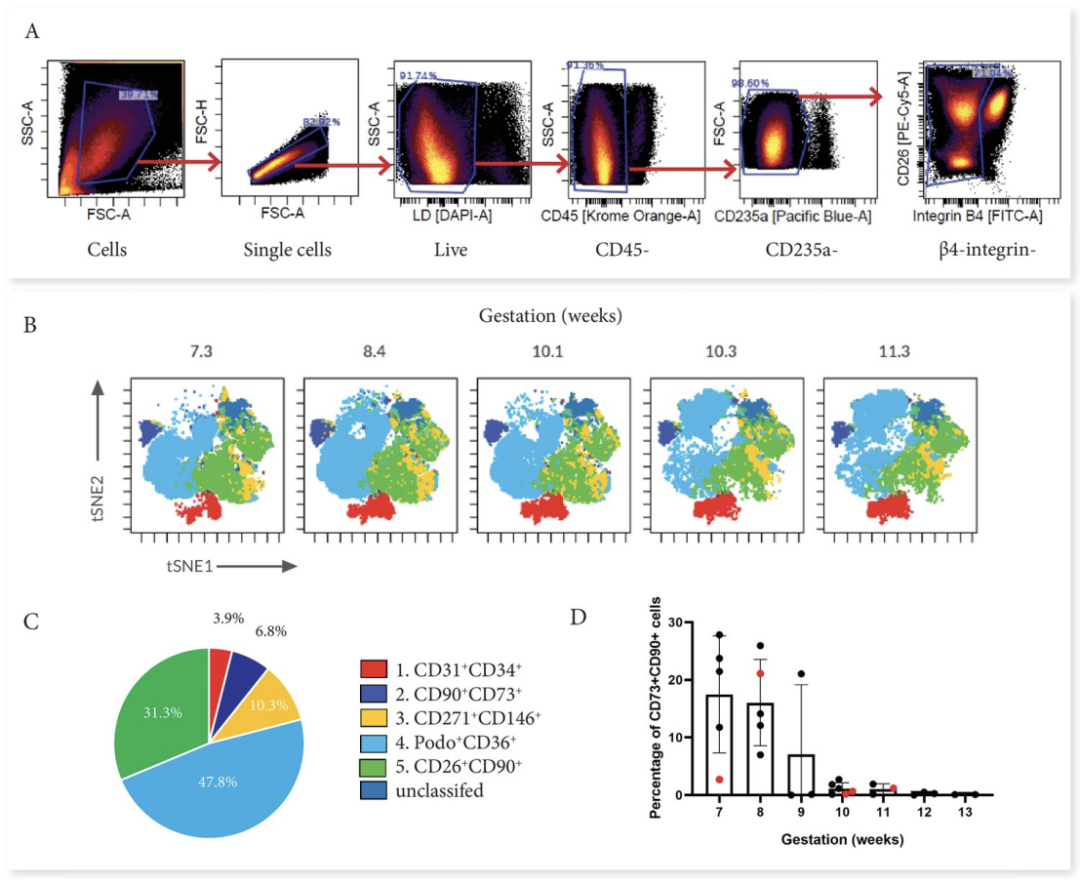 Big Panel Theory系列之—23色光谱流式方案全面解析胎盘MSC异质性