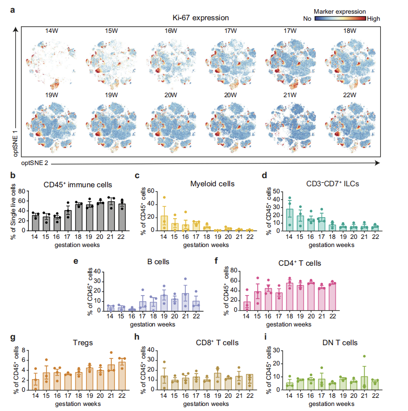 Nature子刊 | 25色全光谱流式方案绘制妊娠中期胎儿肠道免疫系统发育图谱