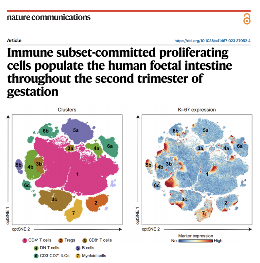Nature子刊 | 25色全光谱流式方案绘制妊娠中期胎儿肠道免疫系统发育图谱