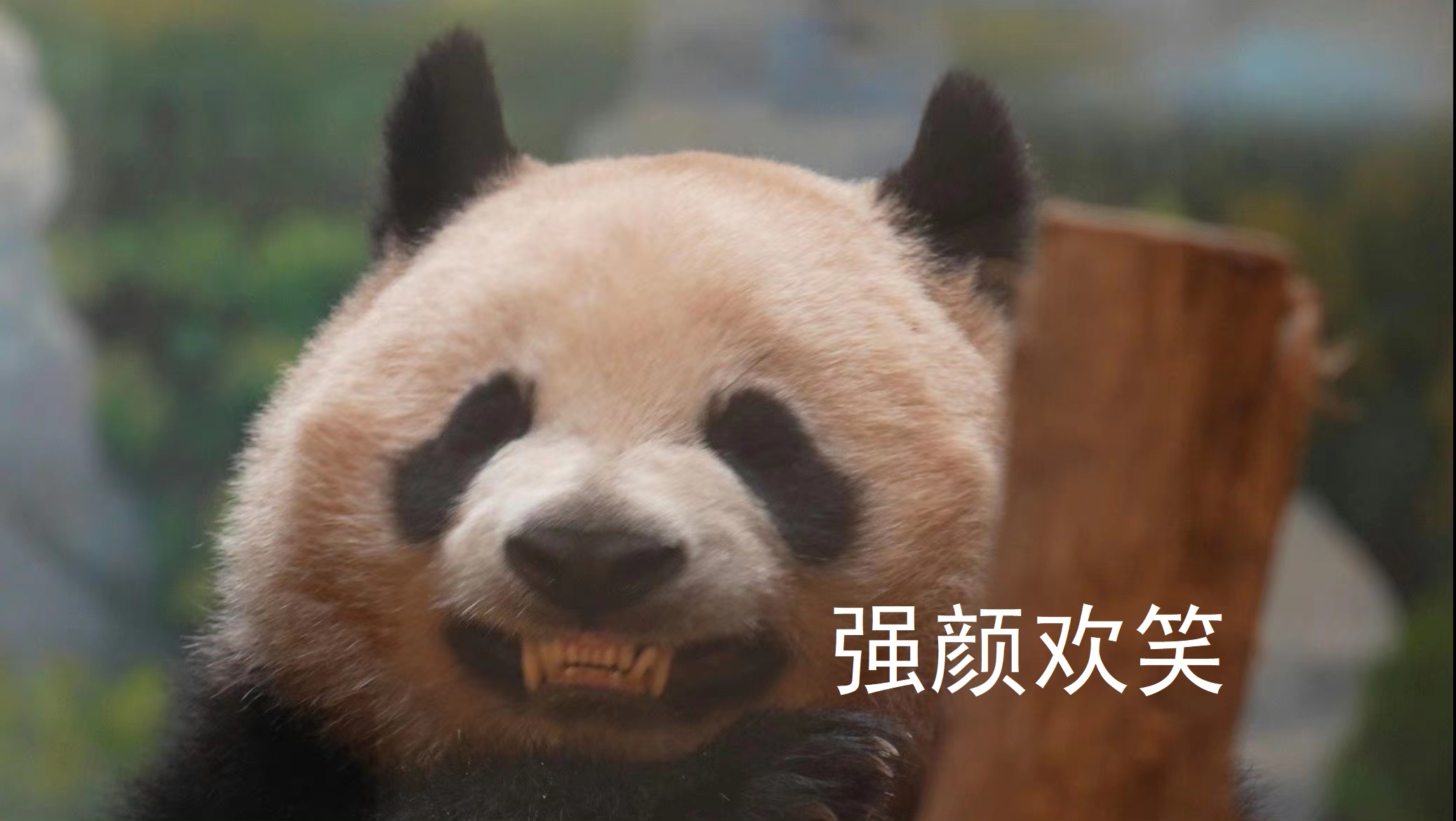 科研人速来！核酸提取样本保存指南请查收！