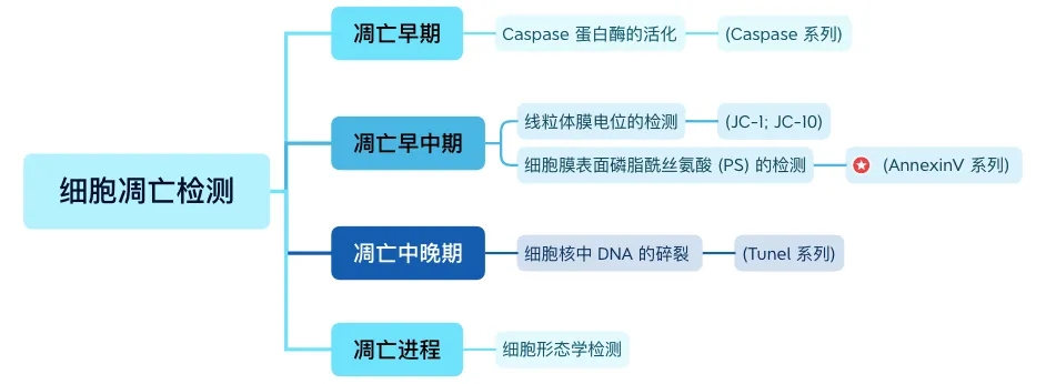 直播预告| 手把手带你搞定 N 种细胞检测方法、异常结果图及原因分析