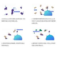 SomaLogic SomaScan Assay 新一代高通量蛋白质组学检测