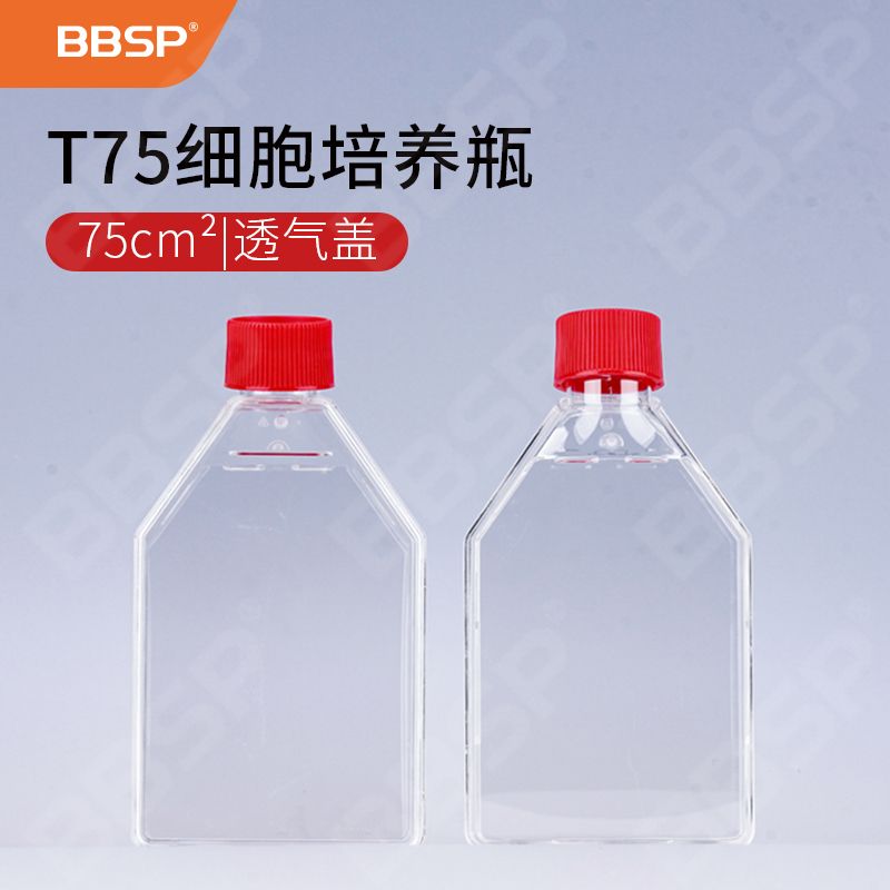 【BC6075】T75细胞培养瓶，透气盖，等离子处理【无DNA酶，无RNA酶，无热原】