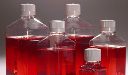 标准小牛血清解冻过程中应该注意哪些问题