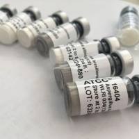 补铁型小牛血清，Calf Bovine Serum