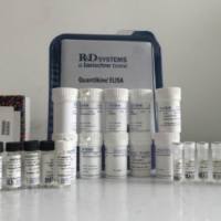 Human APP695+1 Monoclonal Antibody (Cl 12 (25 ug)