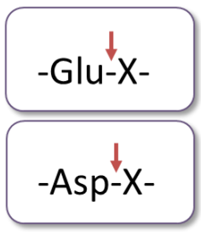 0516832509252700.png 0516832509252700.png