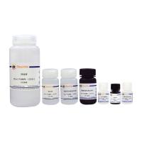 DNA损伤检测试剂盒(γ-H2AX免疫荧光法)