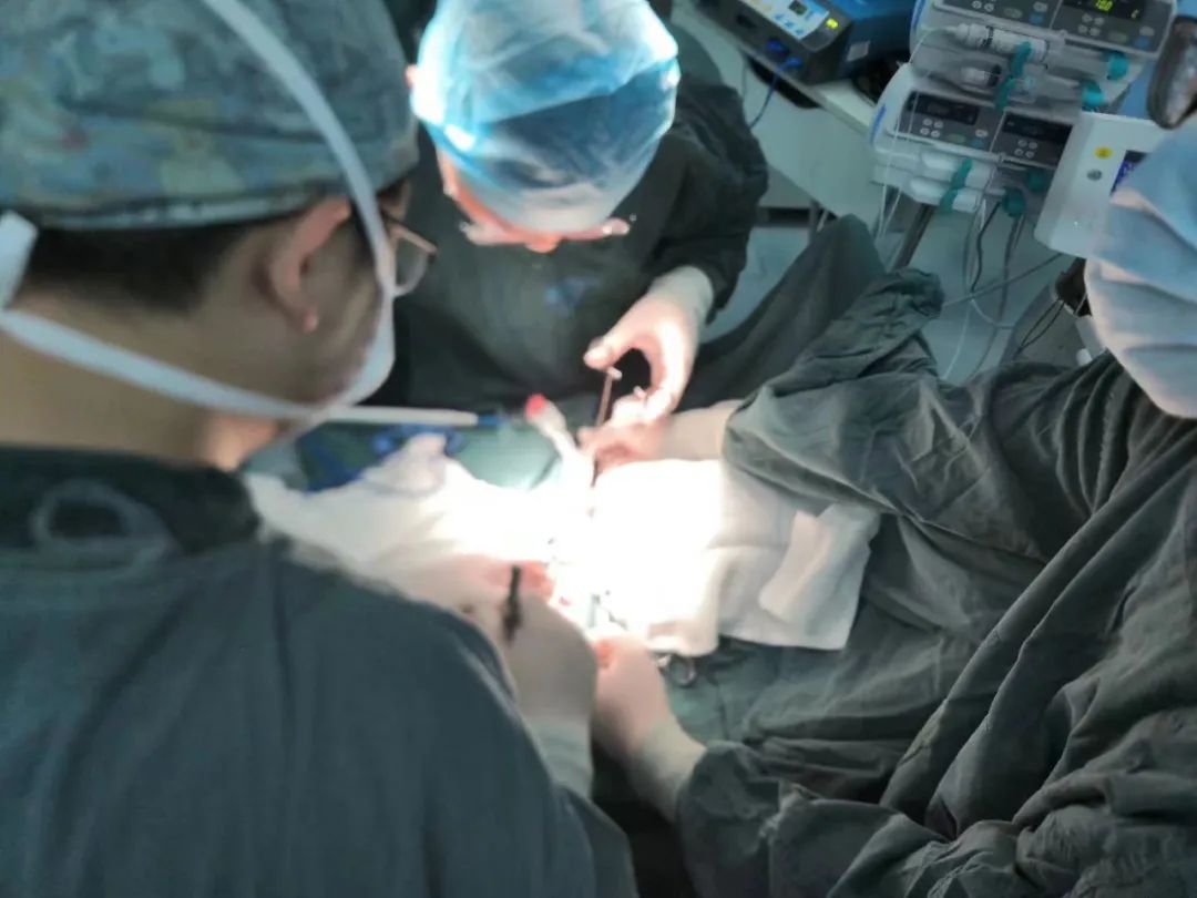 医生从甲状腺取出四颗「黄豆」，成功移植到手臂上！