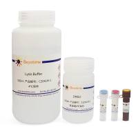 彗星电泳试剂盒