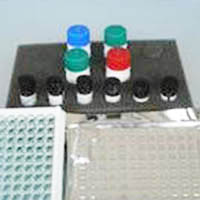 大鼠水通道蛋白4(AQP-4)elisa试剂盒