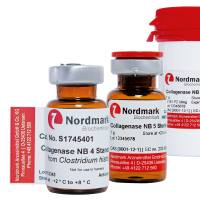 Nordmark组织解离胶原酶 科研级 