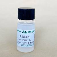 多功能药物载药