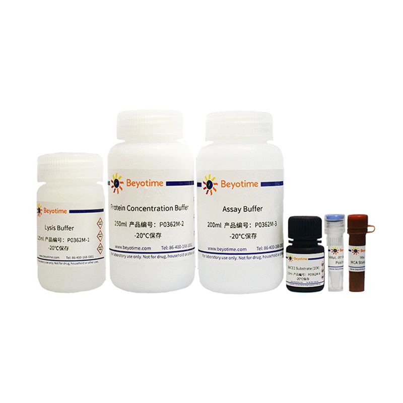 β-Secretase 1 (BACE1)活性荧光检测试剂盒