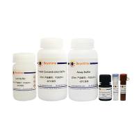 β-Secretase 1 (BACE1)活性荧光检测试剂盒