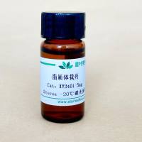 纳米粒子载药体系定制