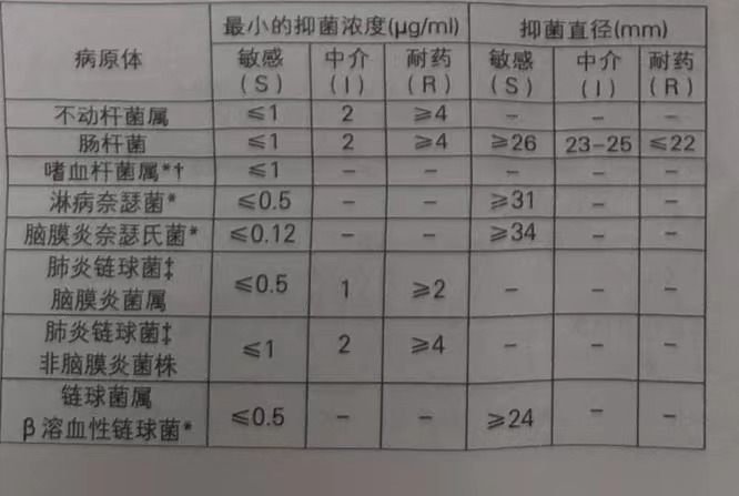 图片预览