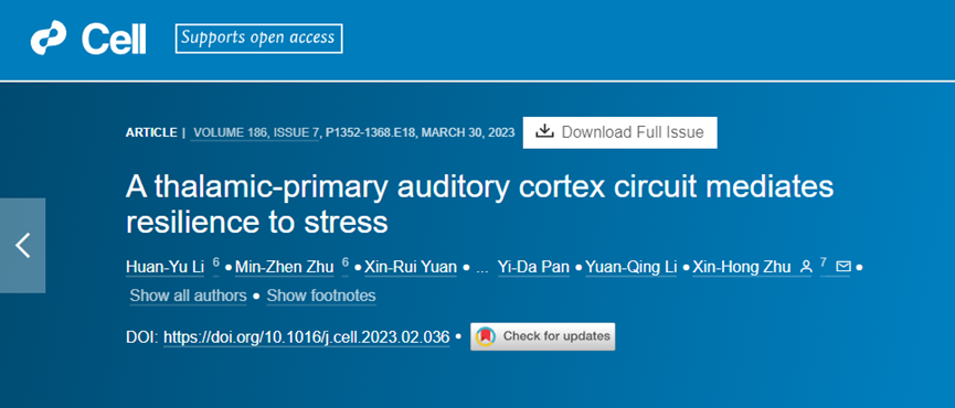 科技前沿 | VS200助力揭示心理韧性的环路机制