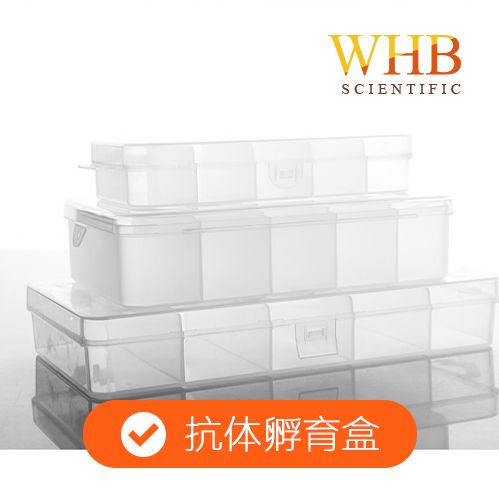 WHB 厂家直销 抗体孵育盒 单格连盖  透明抗体孵育盒  细胞耗材，抗体孵育盒生产厂家