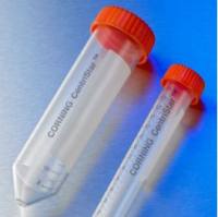 Corning® 50 mL PP离心管,锥形底,带密封盖和支架,无菌,25/支架,500/箱