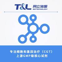 中试生产及工艺优化