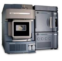 色氨酸代谢通路(犬尿氨酸，吲哚等)检测服务LC-MS/MS