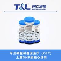 ActSep®CD3/CD28分选激活磁珠-T细胞分选激活磁珠