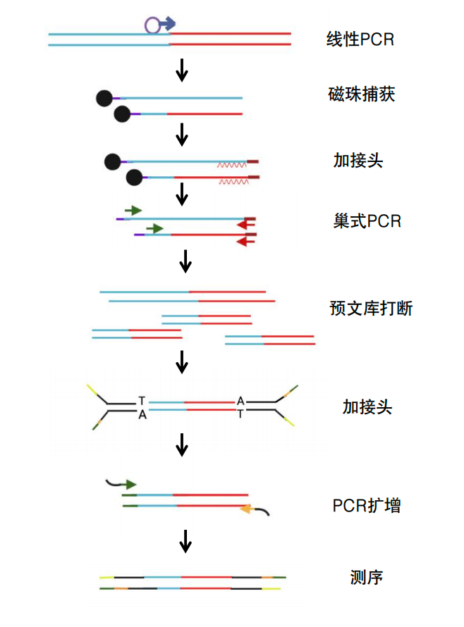 产品细节图片1