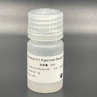 Strep-Tactin /Strep-tag II/Streptactin Agarose Beads  4FF