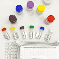 人胰岛细胞抗原2抗体(IA-2A)elisa试剂盒