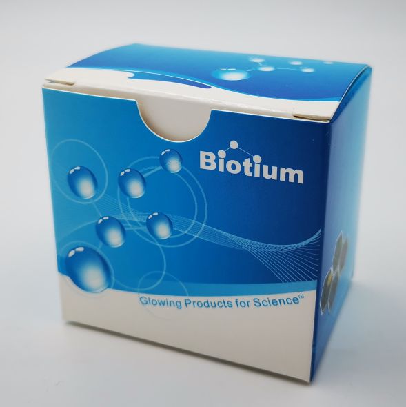 Biotium全系列染料，热门产品现货