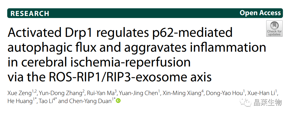 国自然热点“外泌体”之活化的Drp1调节p62介导的自噬通量，并通过ROS-RIP1/RIP3-外泌体轴加重脑缺血再灌注中的炎症