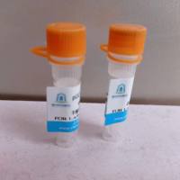 pLVX-3×FLAG-Spike(SARS-Cov-2)-Puro质粒