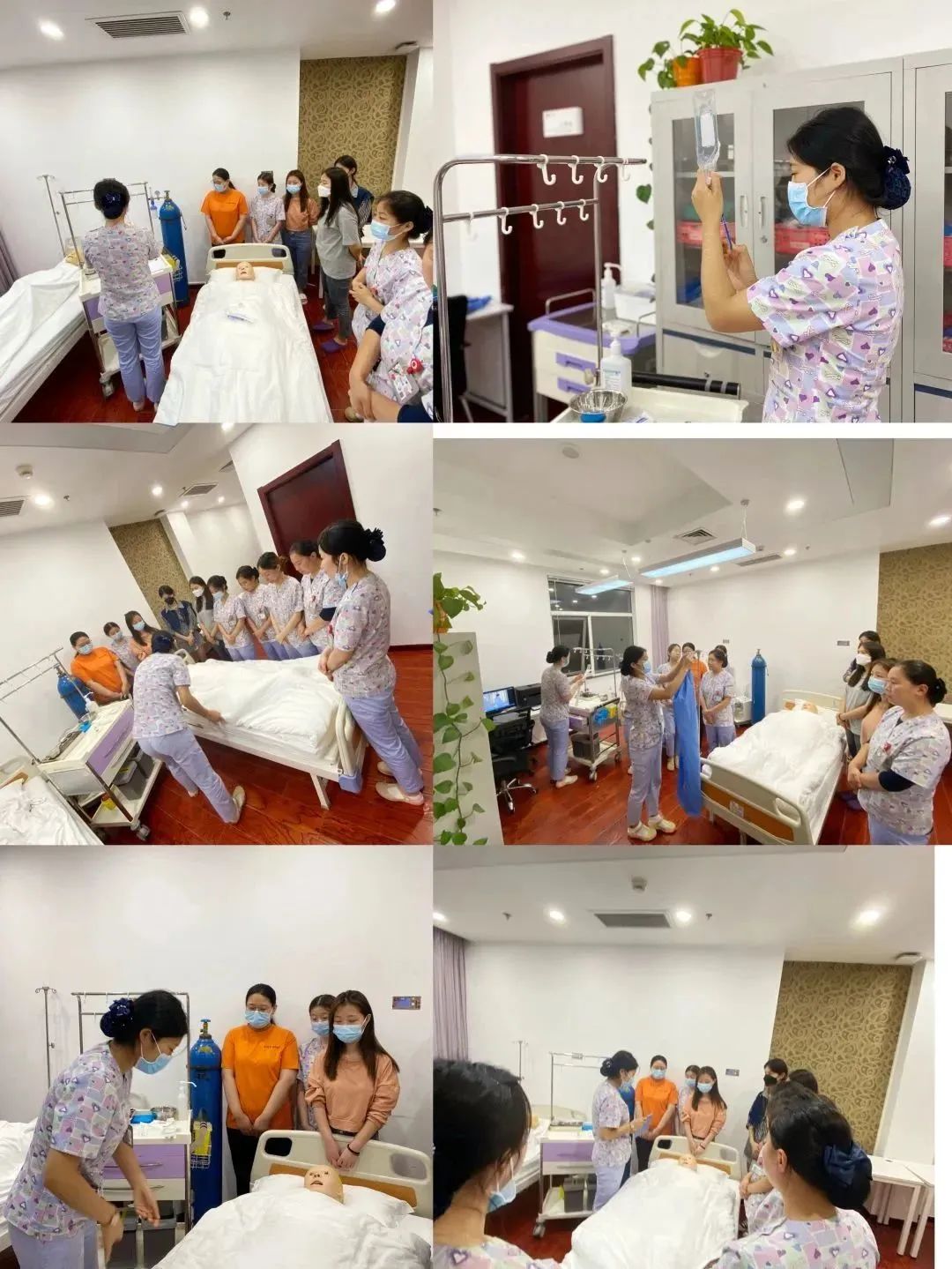 胡正红护士长：提灯前行二十余载，倾心守护 TA 们走向移植后的诗和远方
