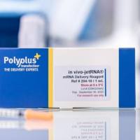 in vivo-jetRNA®+  转染试剂