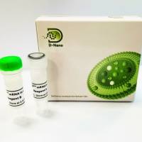 CALNPTM mRNA in vitro mRNA转染试剂